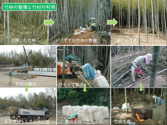 竹林の整備と竹材の利用