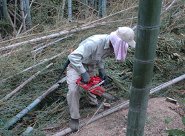 竹材の切断